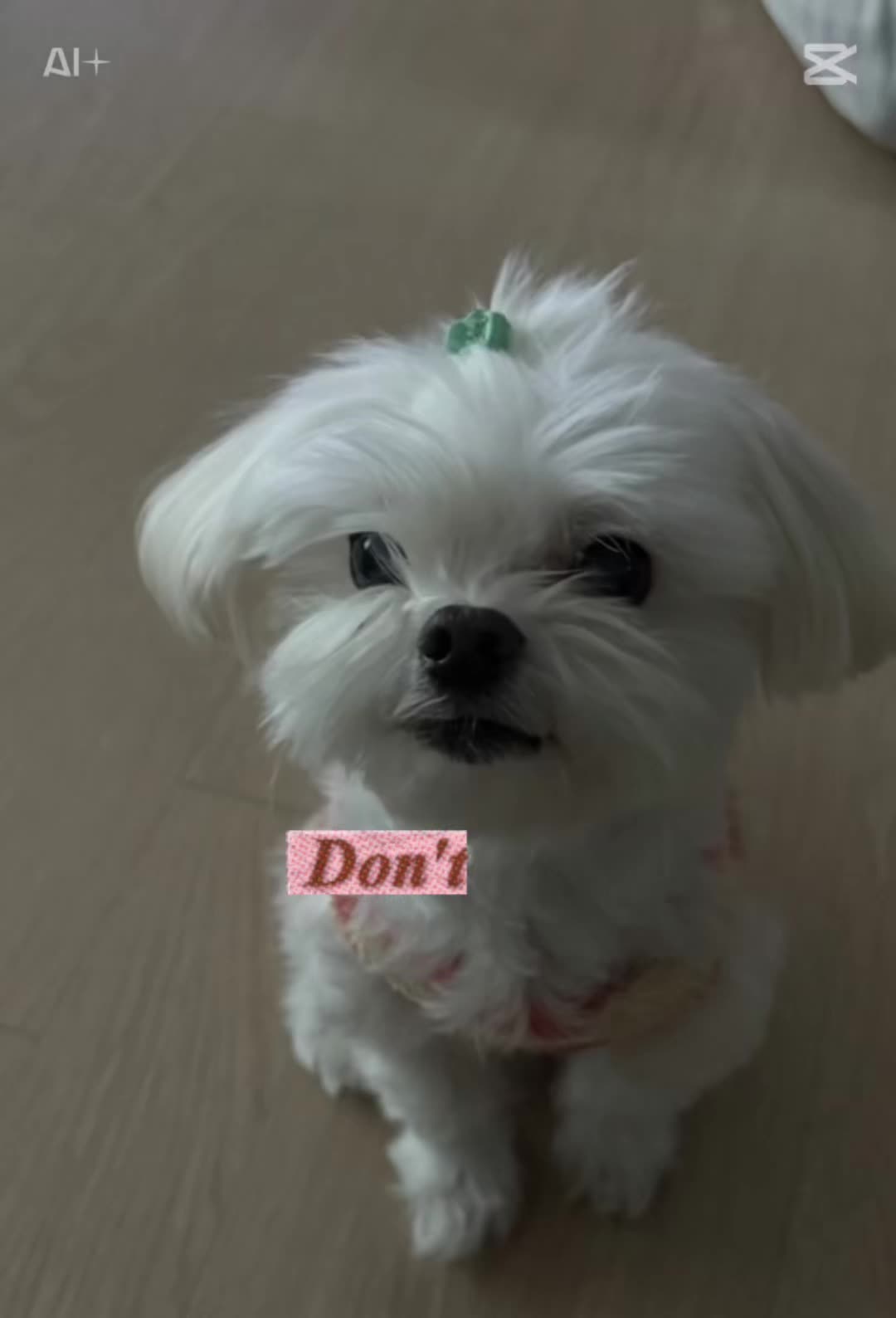 @경이씨