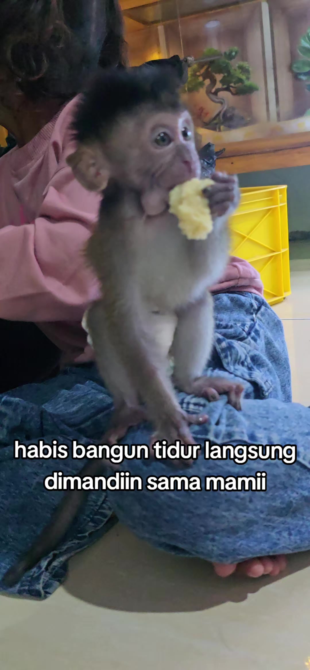 @Elind mulya Sarii
