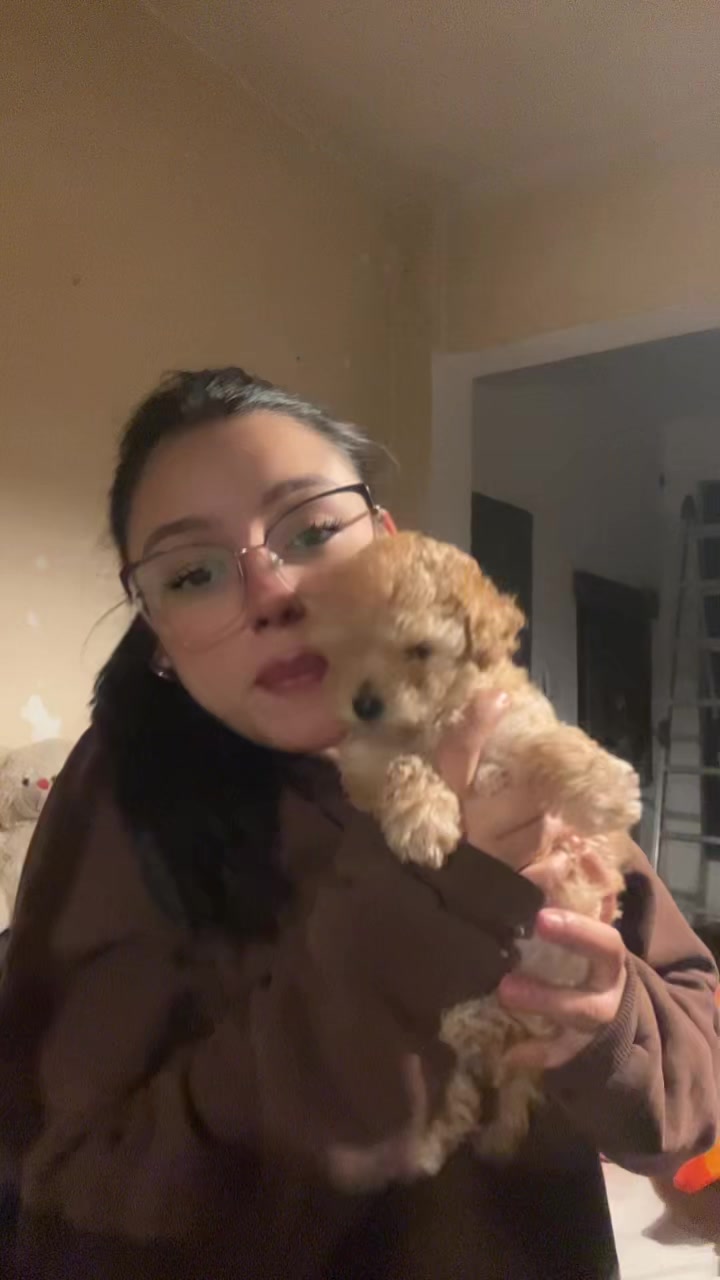 @luupardo