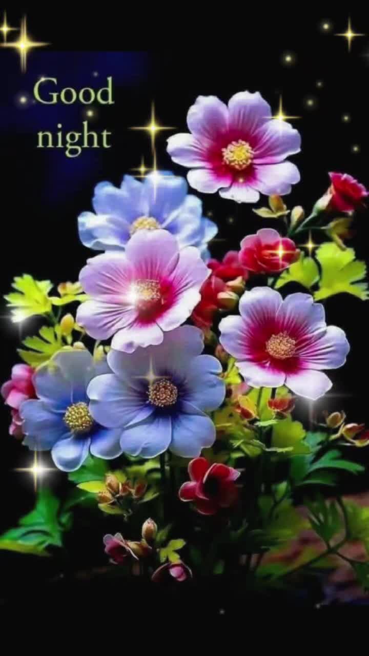 @Sai Meena