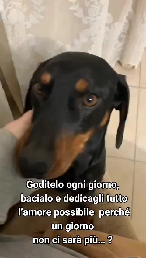 @ELETTRA BOLOGNIN