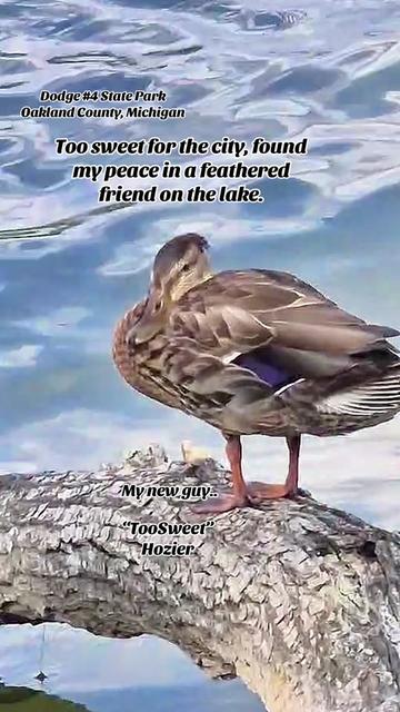 @Wanderer