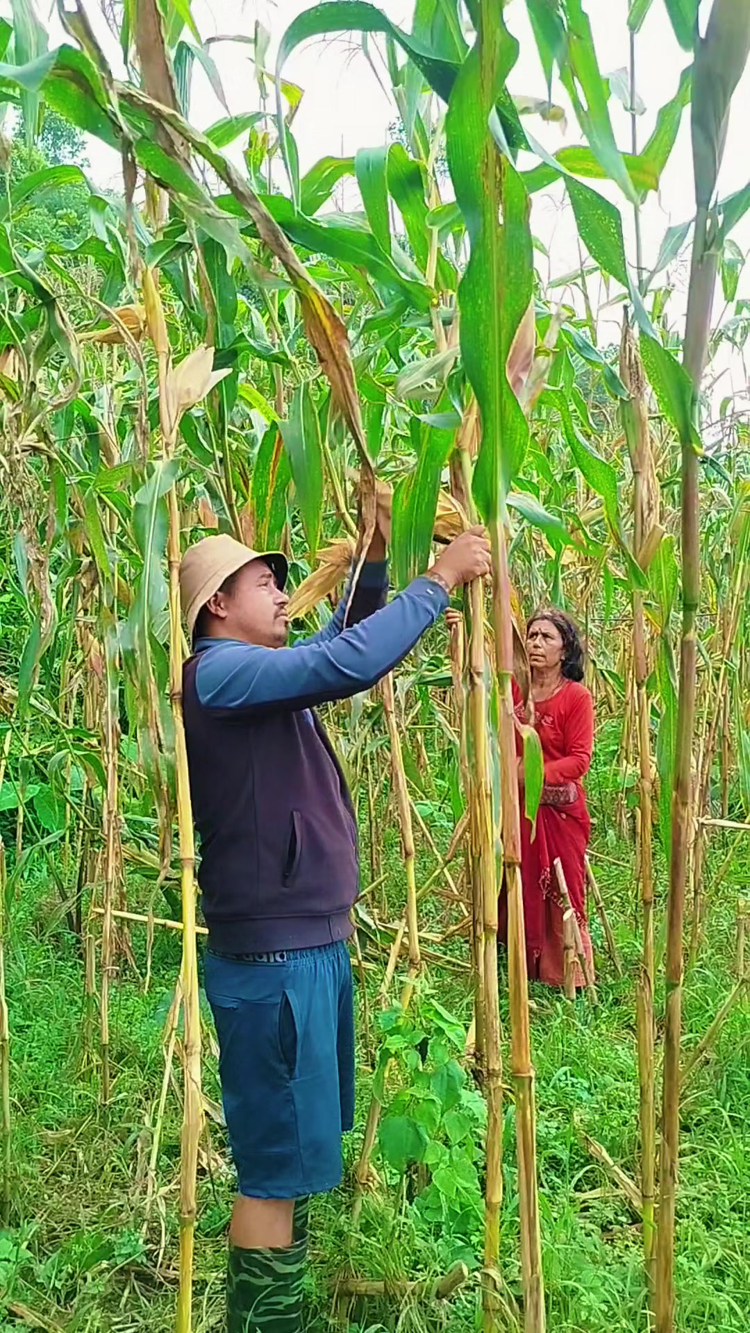 @थापा kanxa507