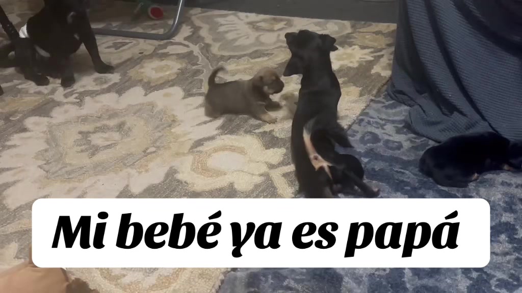 @Resilencia familia amor 🧡