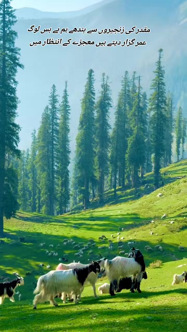 @💫❤️🔥دل کا بادشاہ❤️🔥💫