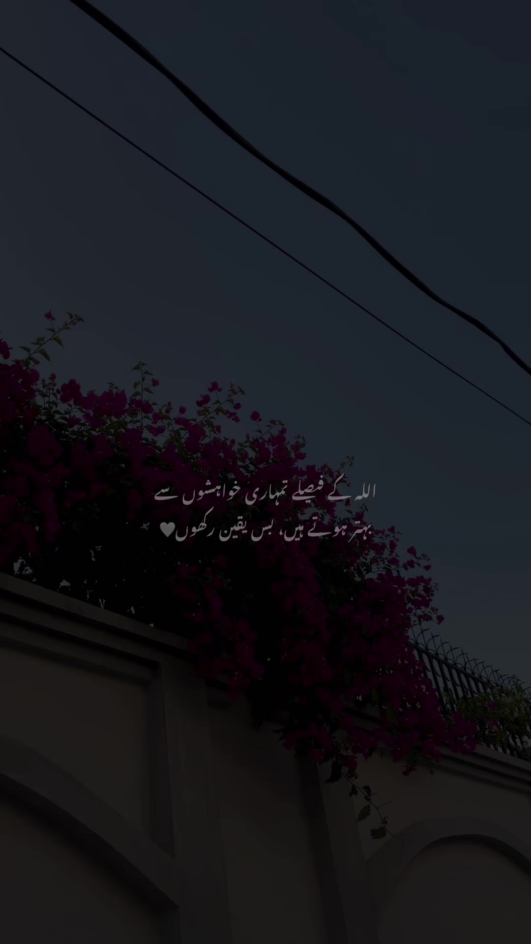 @E N Z O ♡