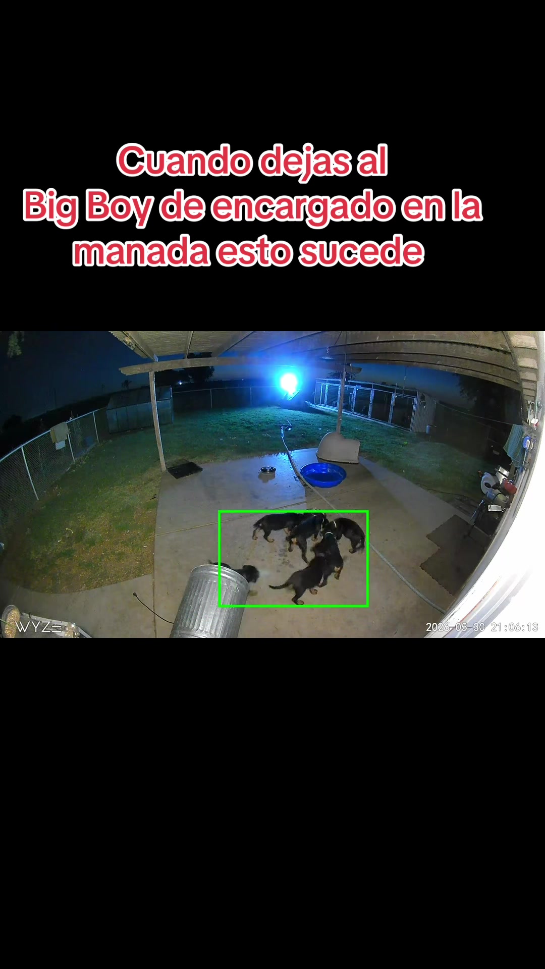 @✨VON DER MU&Ntilde;OZ ROTT&rsquo;S✨