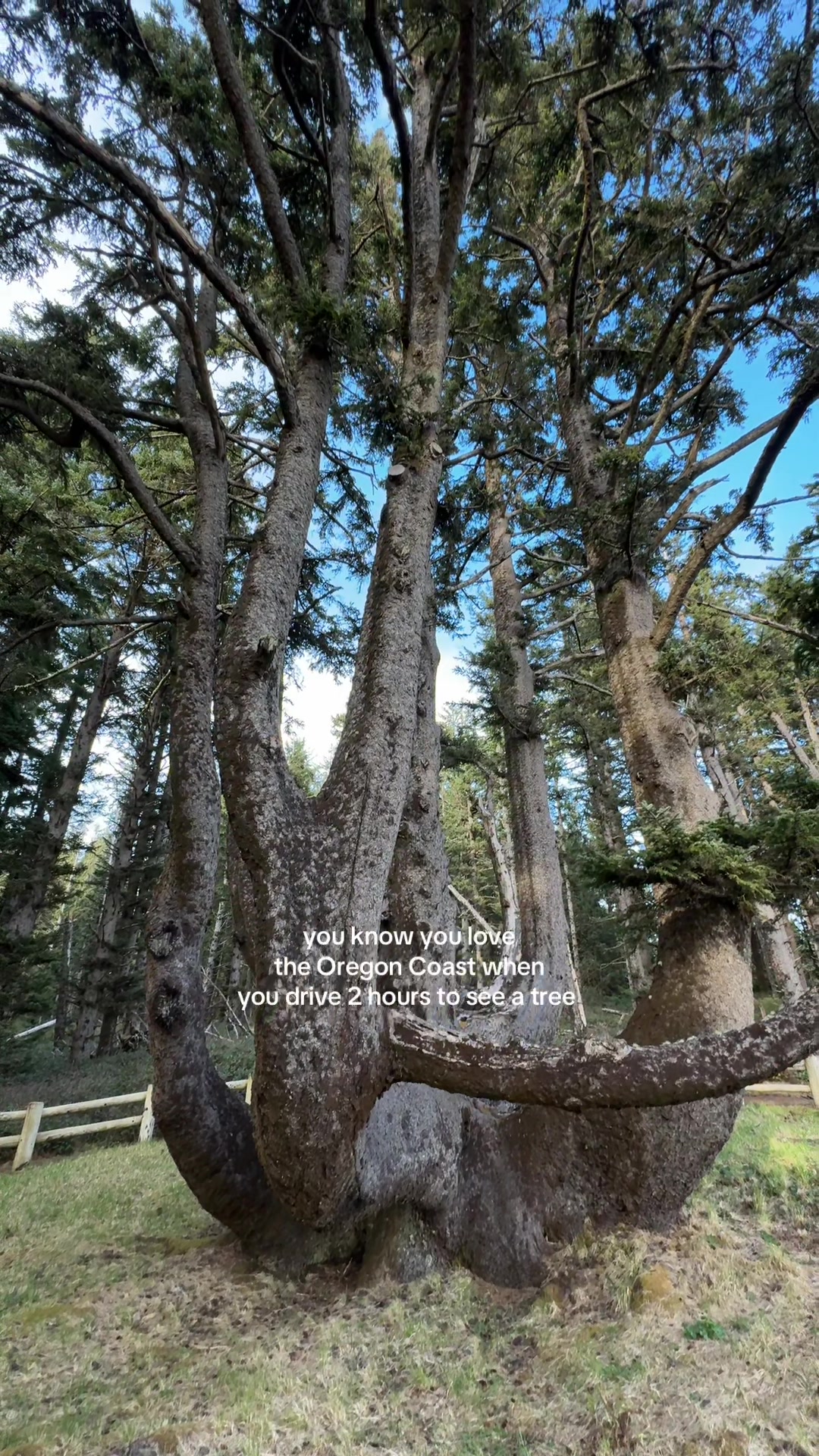 @Oregon Coast
