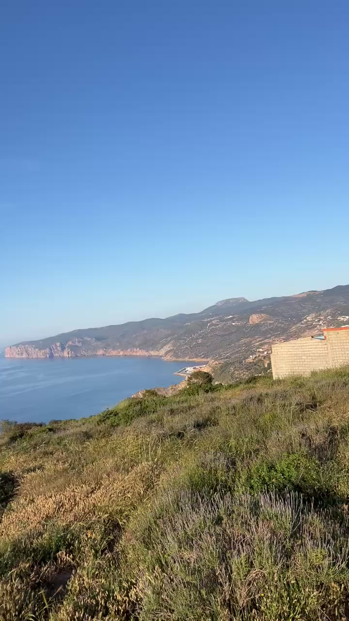 @Che Rif