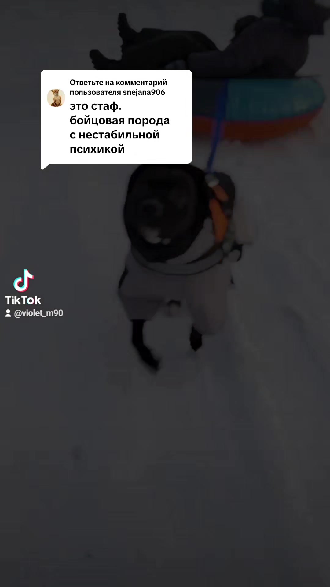 @Фиалка