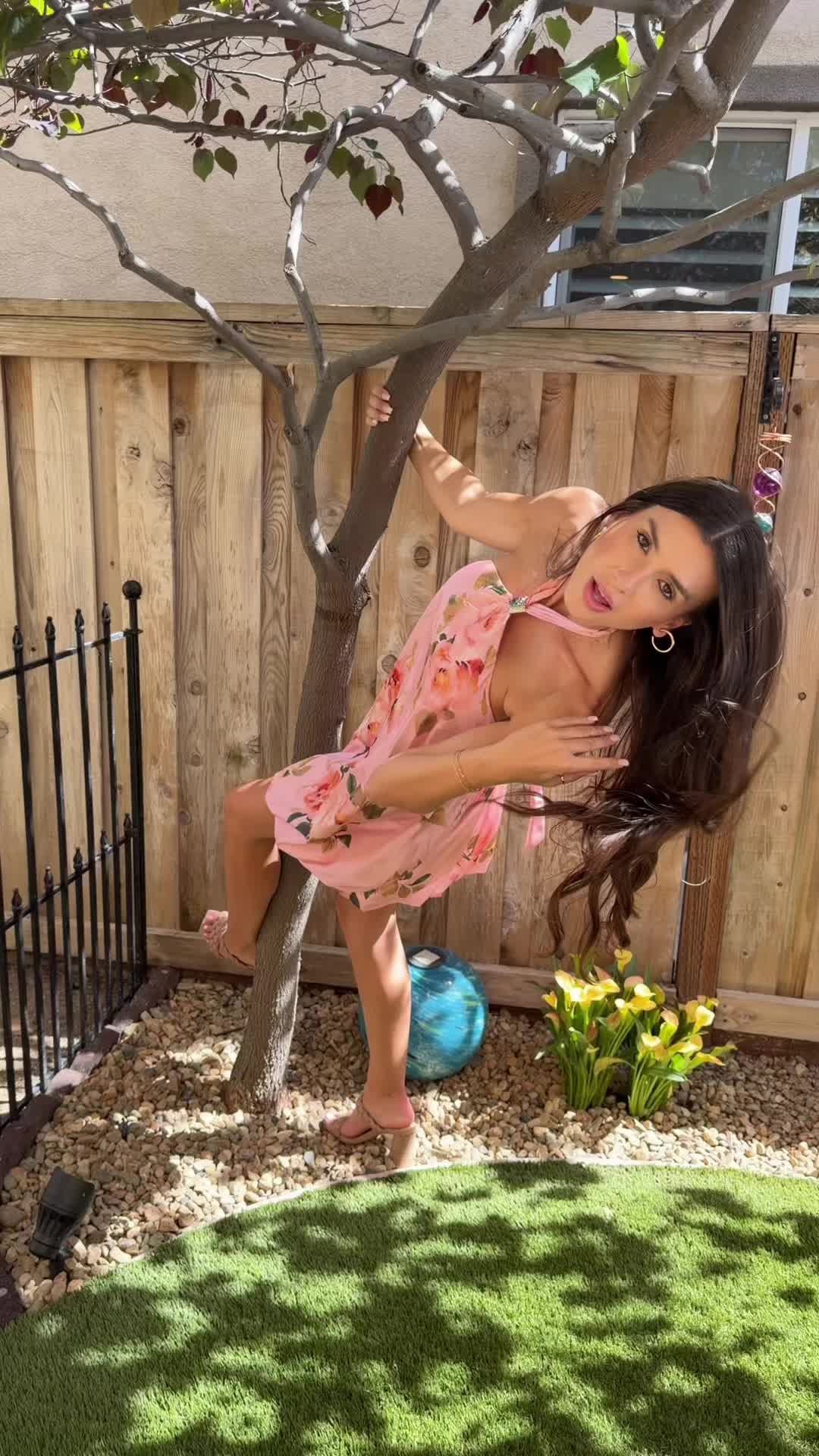 @myadraper