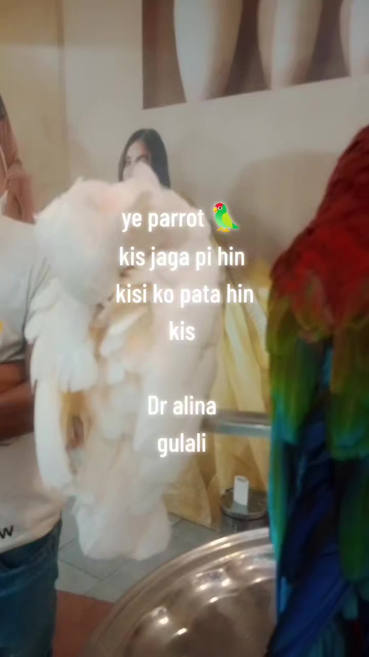 @ALINA