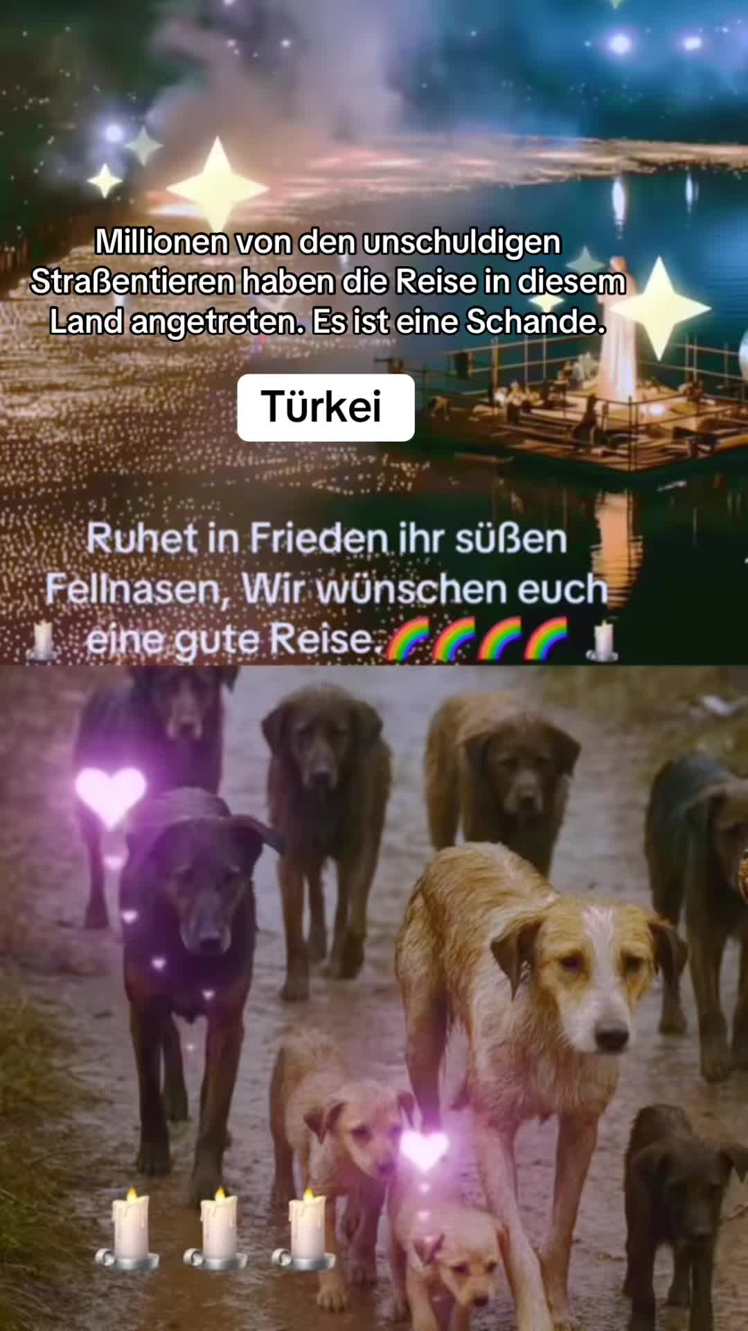@Lua Team🐈🐕&zwj;🦺L&ouml;wenherz❤️🦁