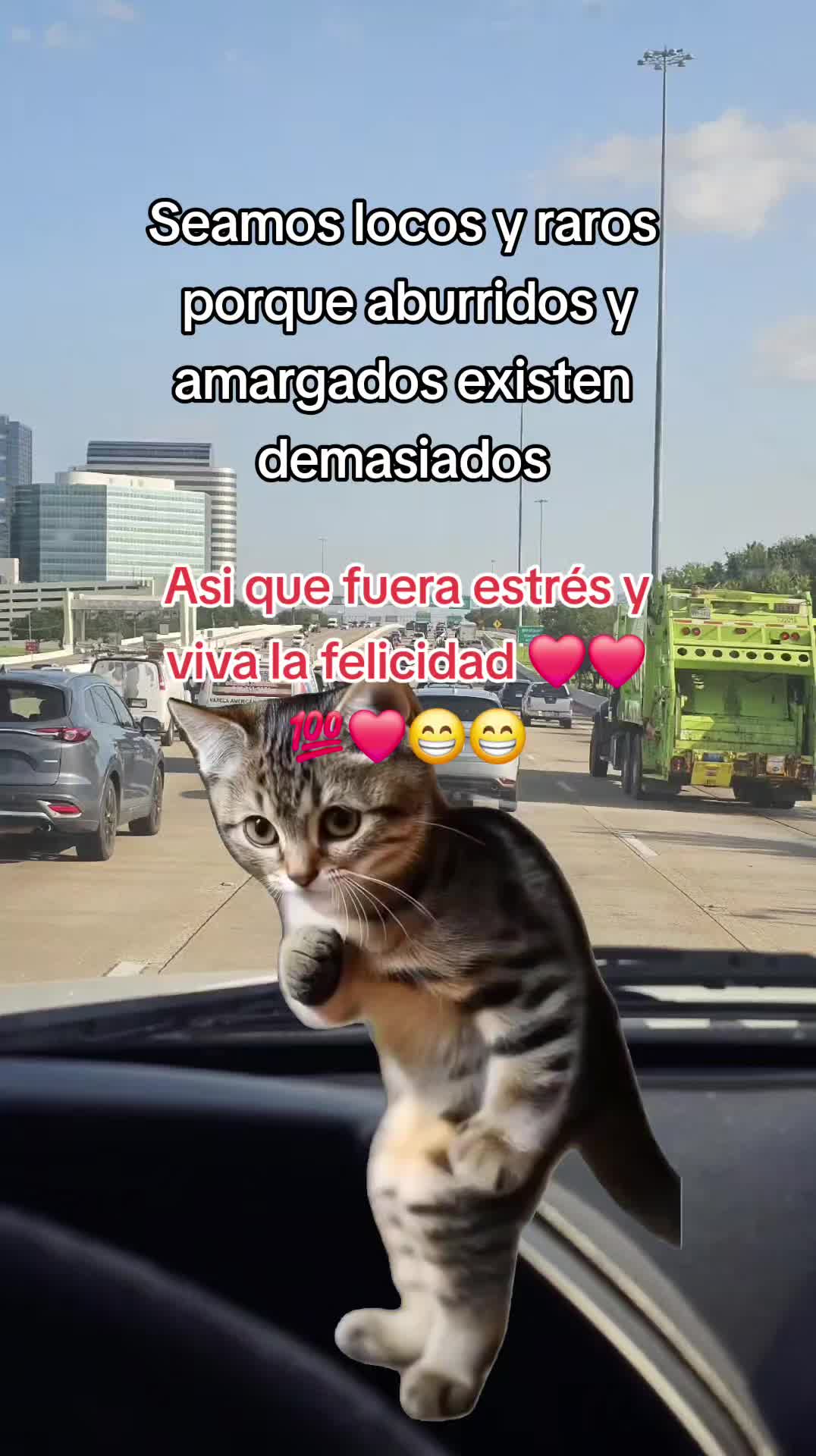 @Rápido💫&🌻Furioso🧝♀️