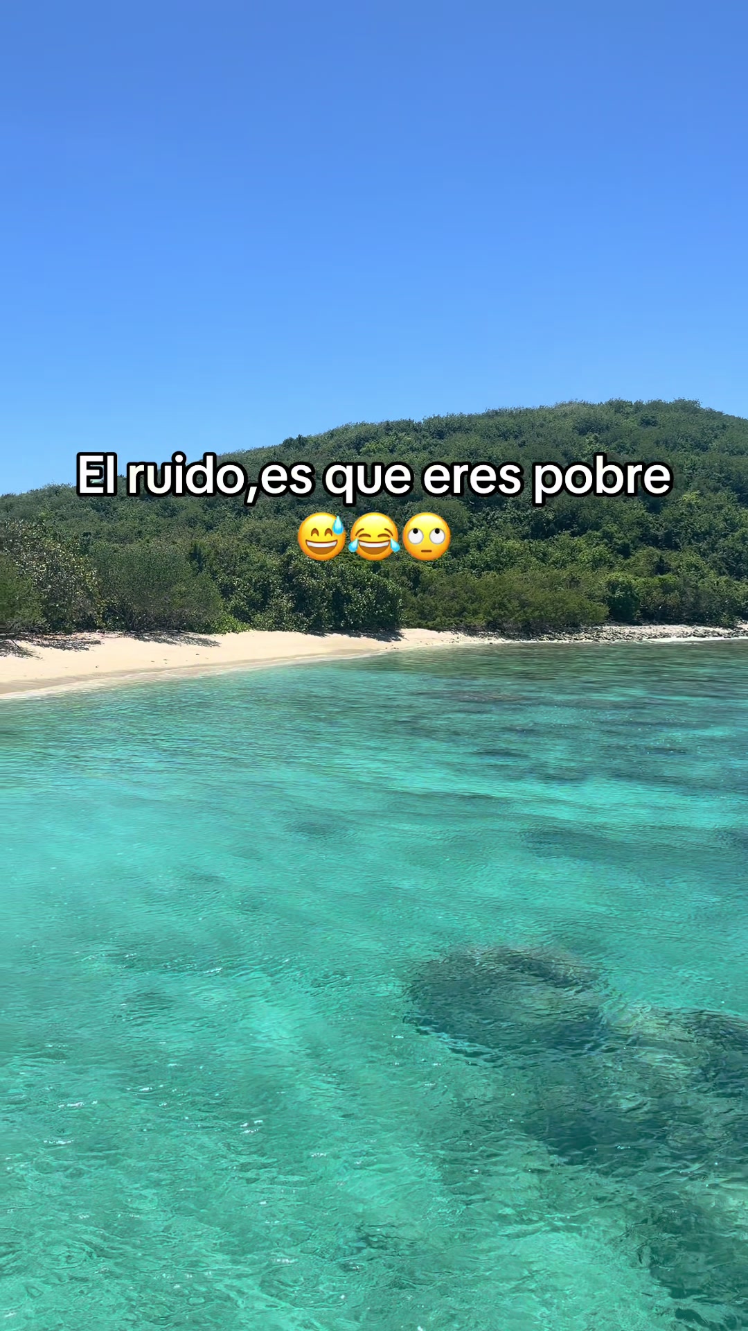 @Magda