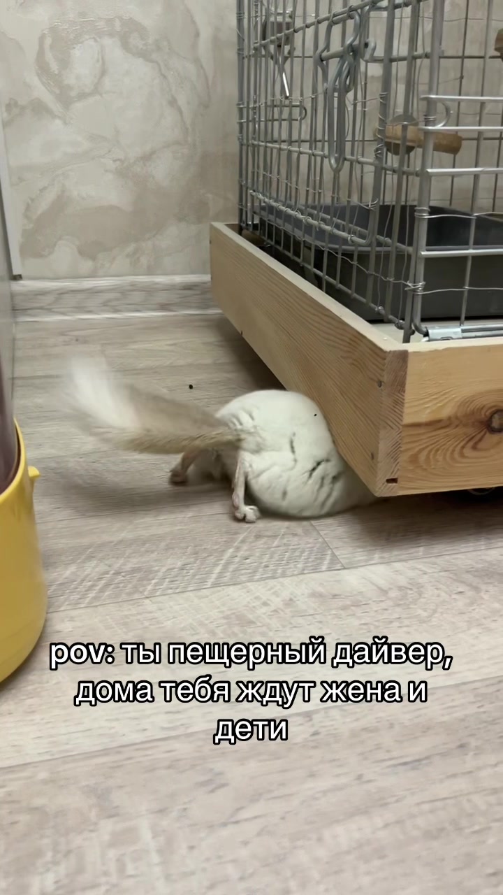 @Лулу