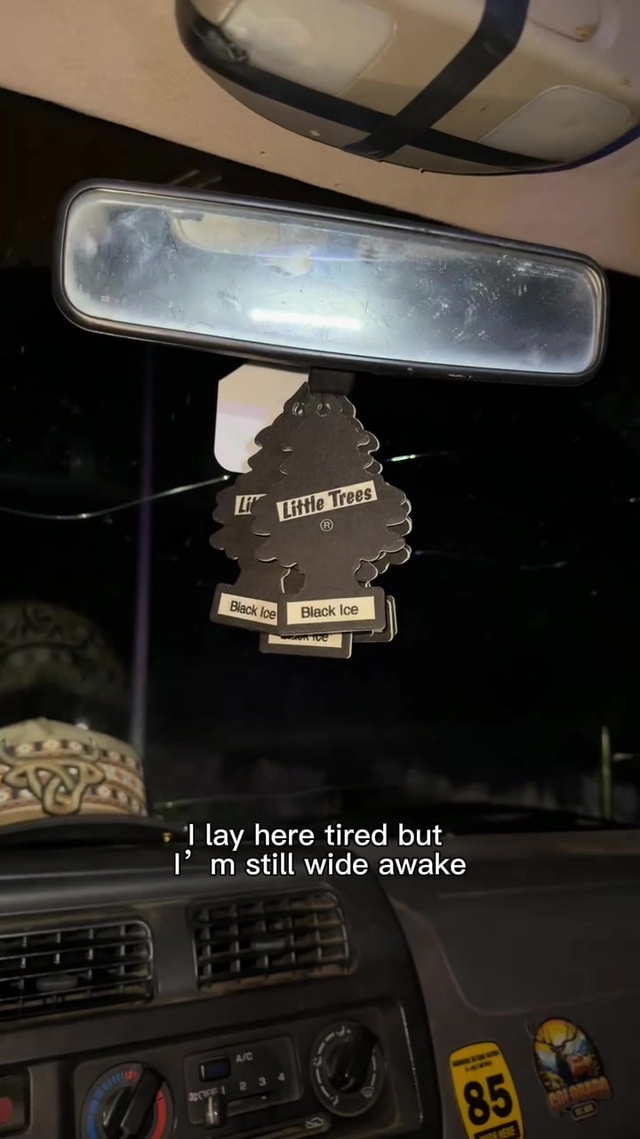 @seebass_theass
