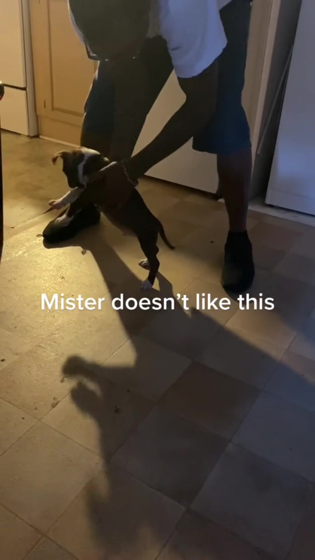 @Mister_granger