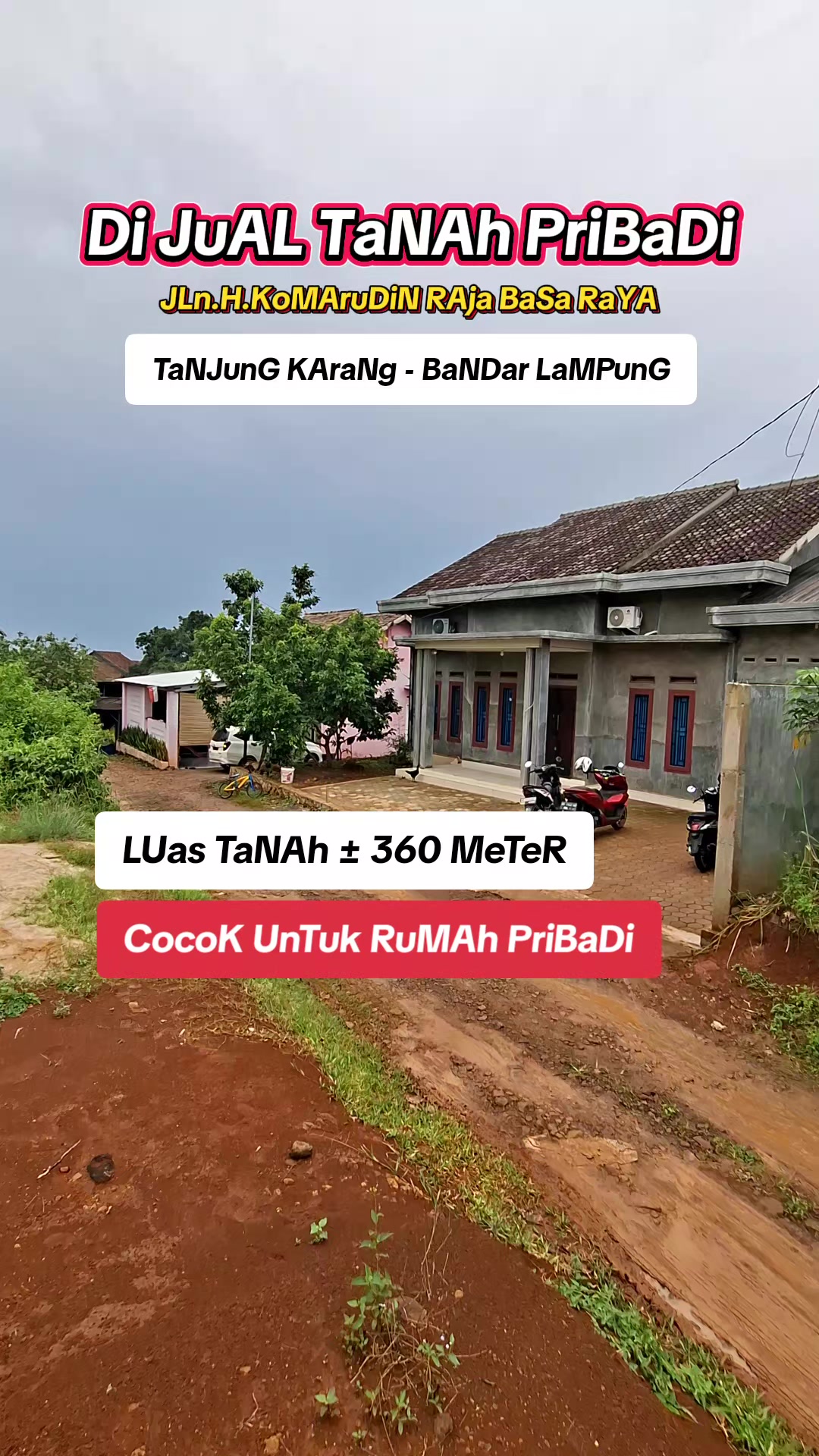 @Tanah pribadi Lampung