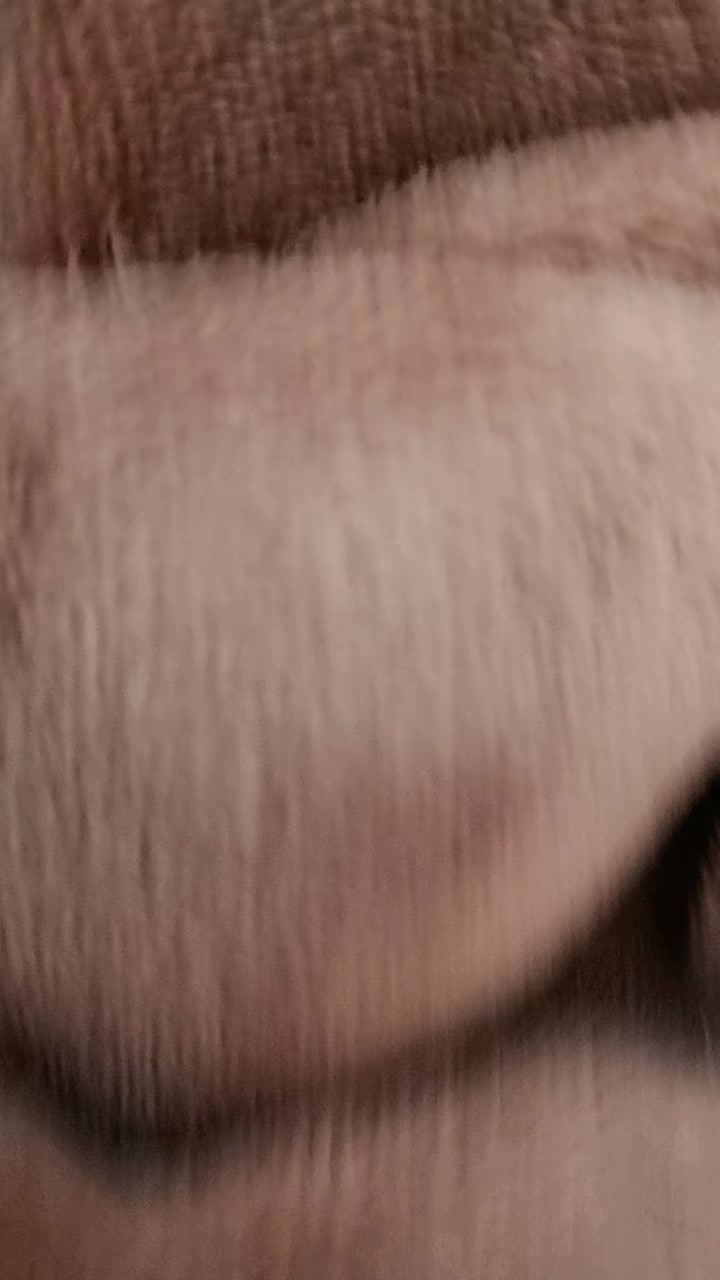 @𝓤𝓹𝓪꒰( ˙𐃷˙ )꒱