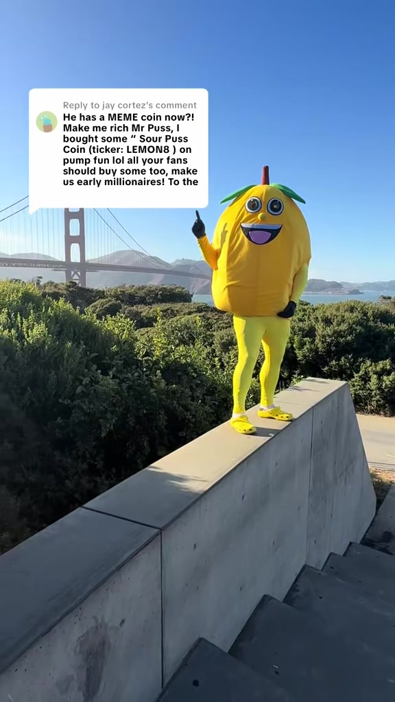 @Sour-Puss