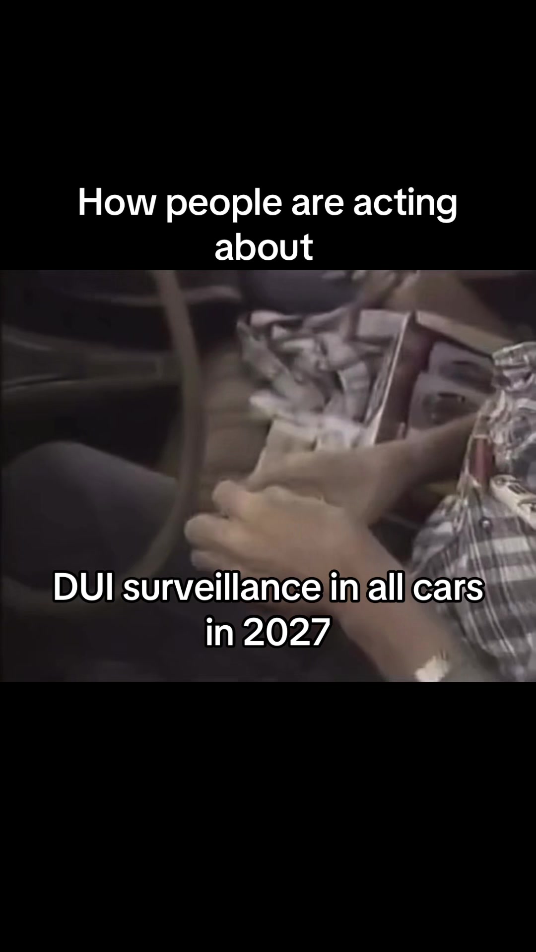 @DogsEye