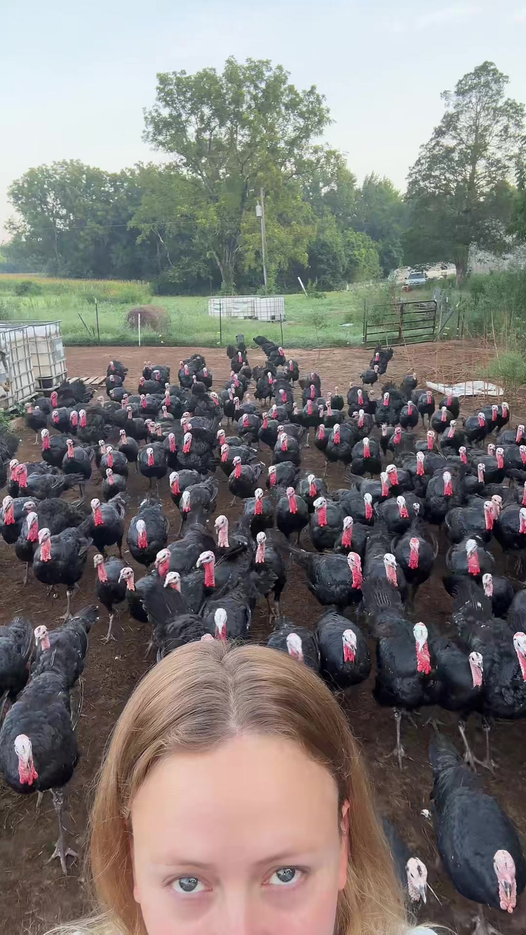 @farmerandtheharpiist