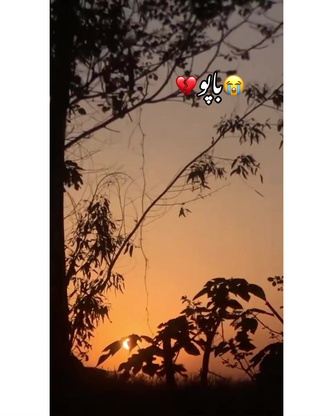 @⚜️𝐊𝐇𝐎𝐊𝐇𝐀𝐑❤️🩹