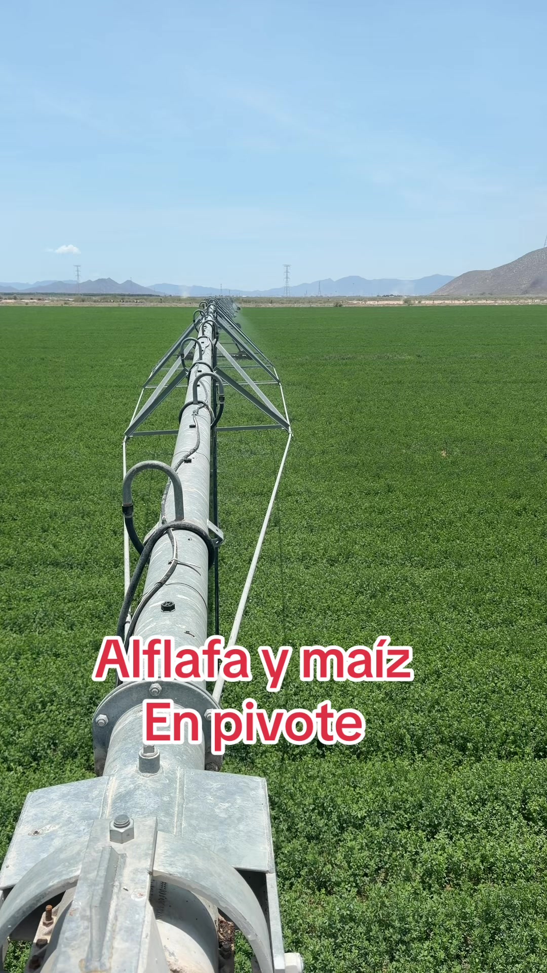 @Pablo Villarreal