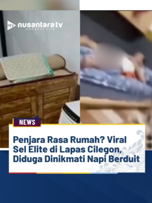 @official.ntv