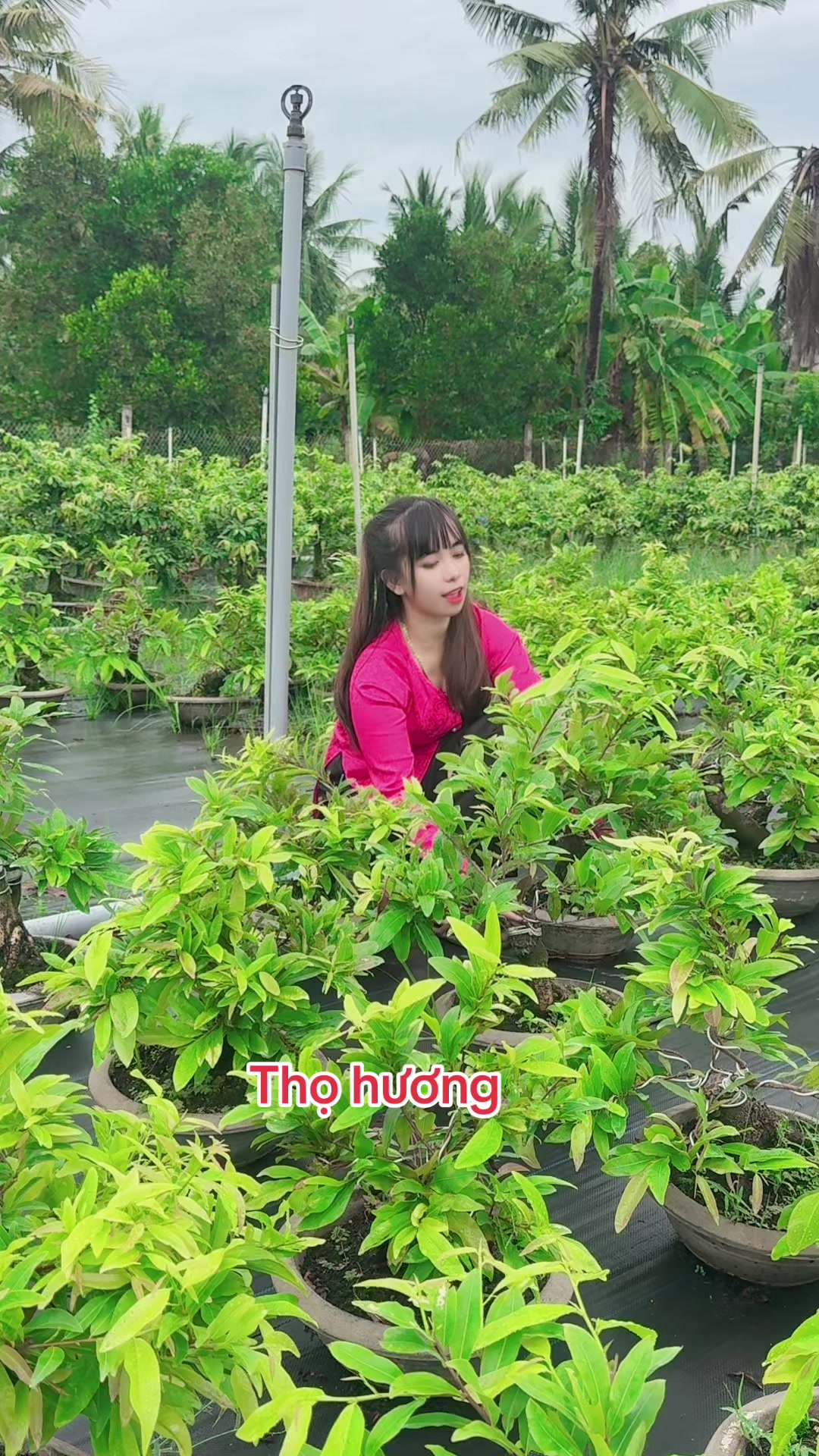 @Chichchoebong79