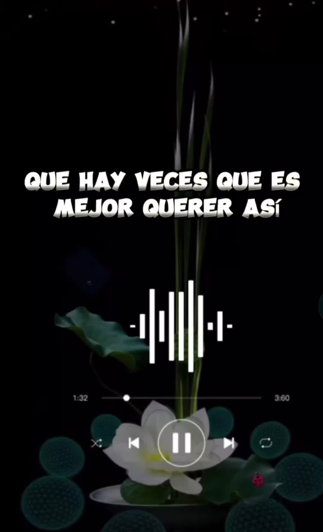 @🐄 Tus 🐻faboritas58🧸 🐎