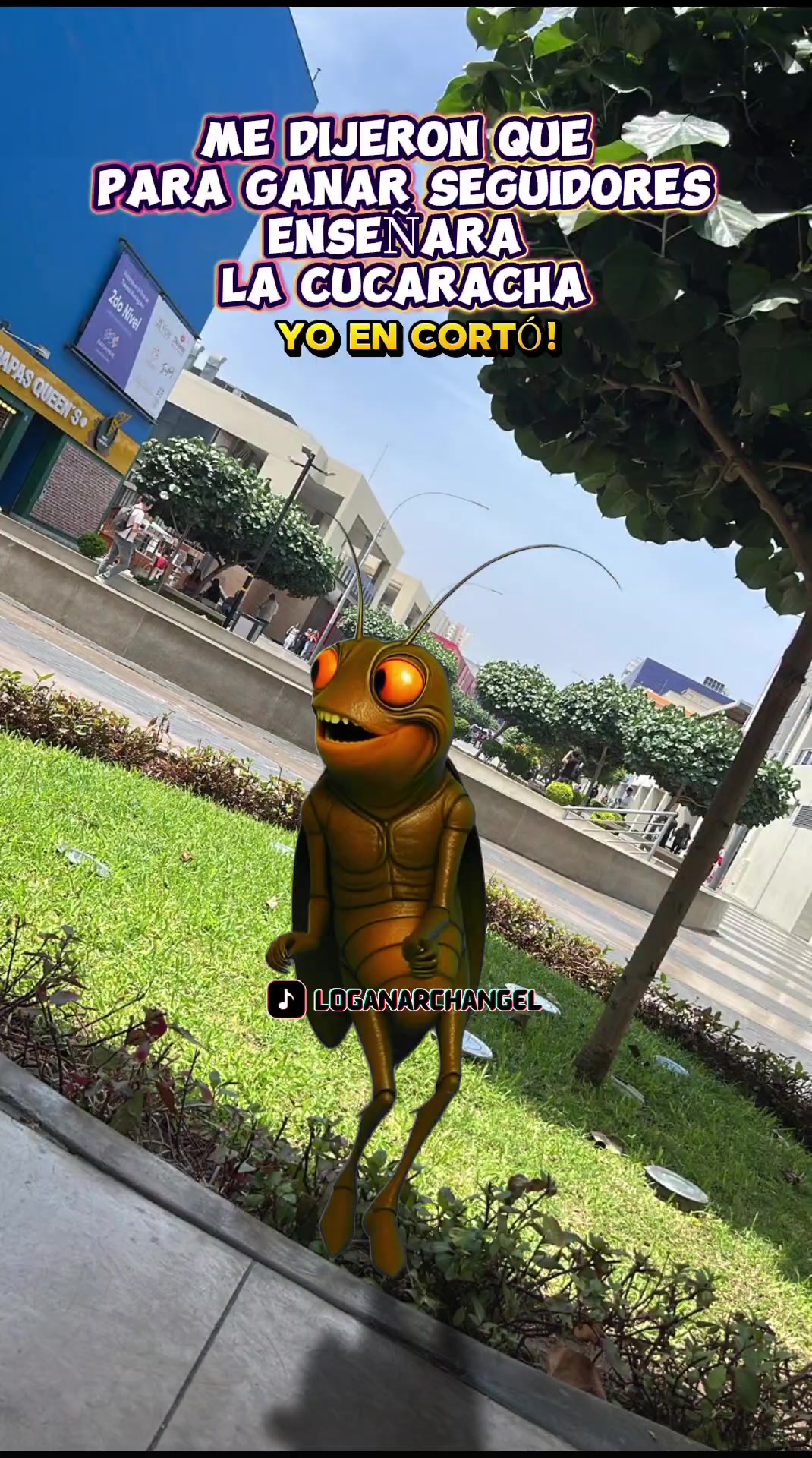 @🌻Yessabella 🌻
