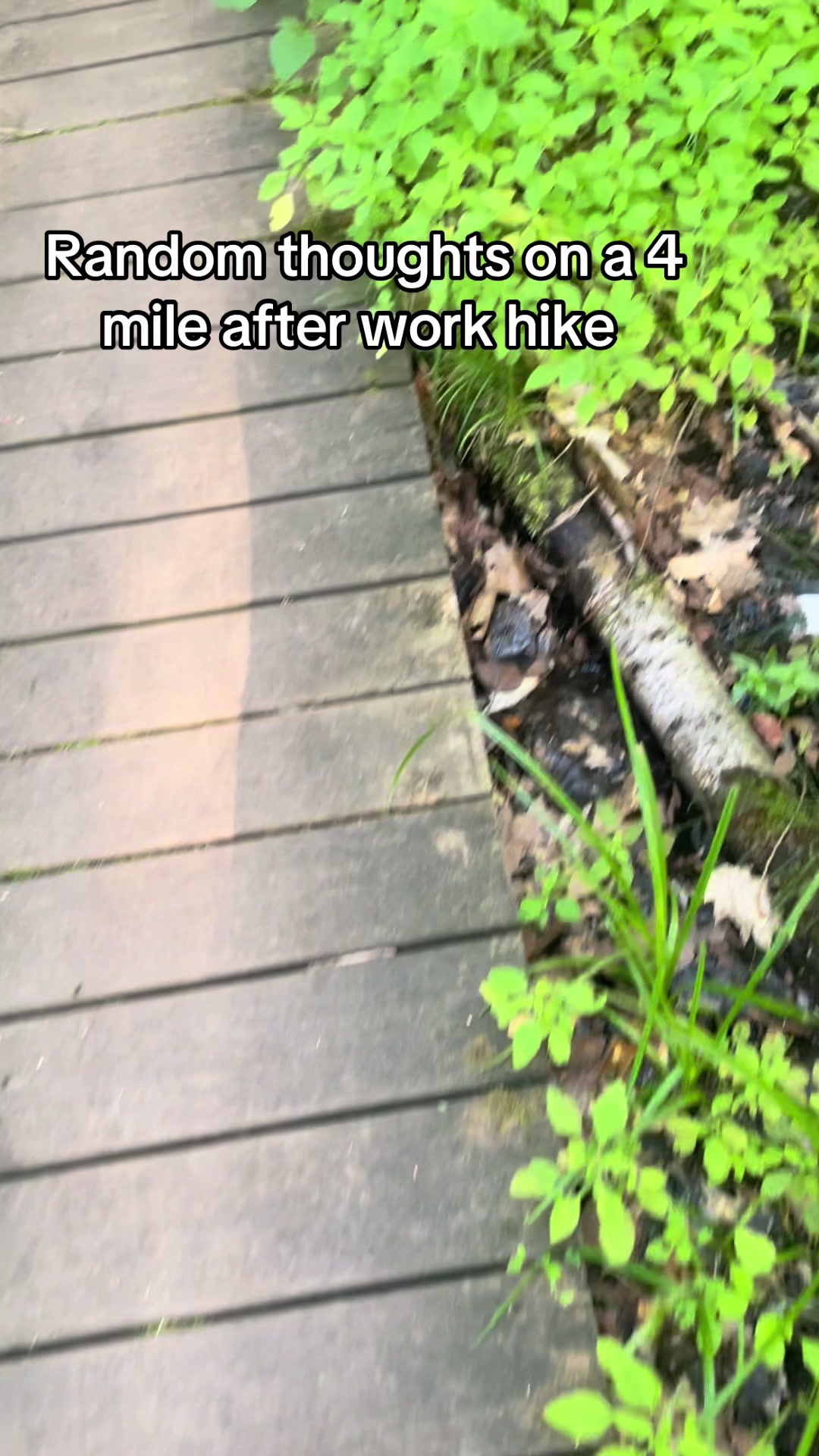 @Heymonahey | Hiker 🌈🇺🇸🔥