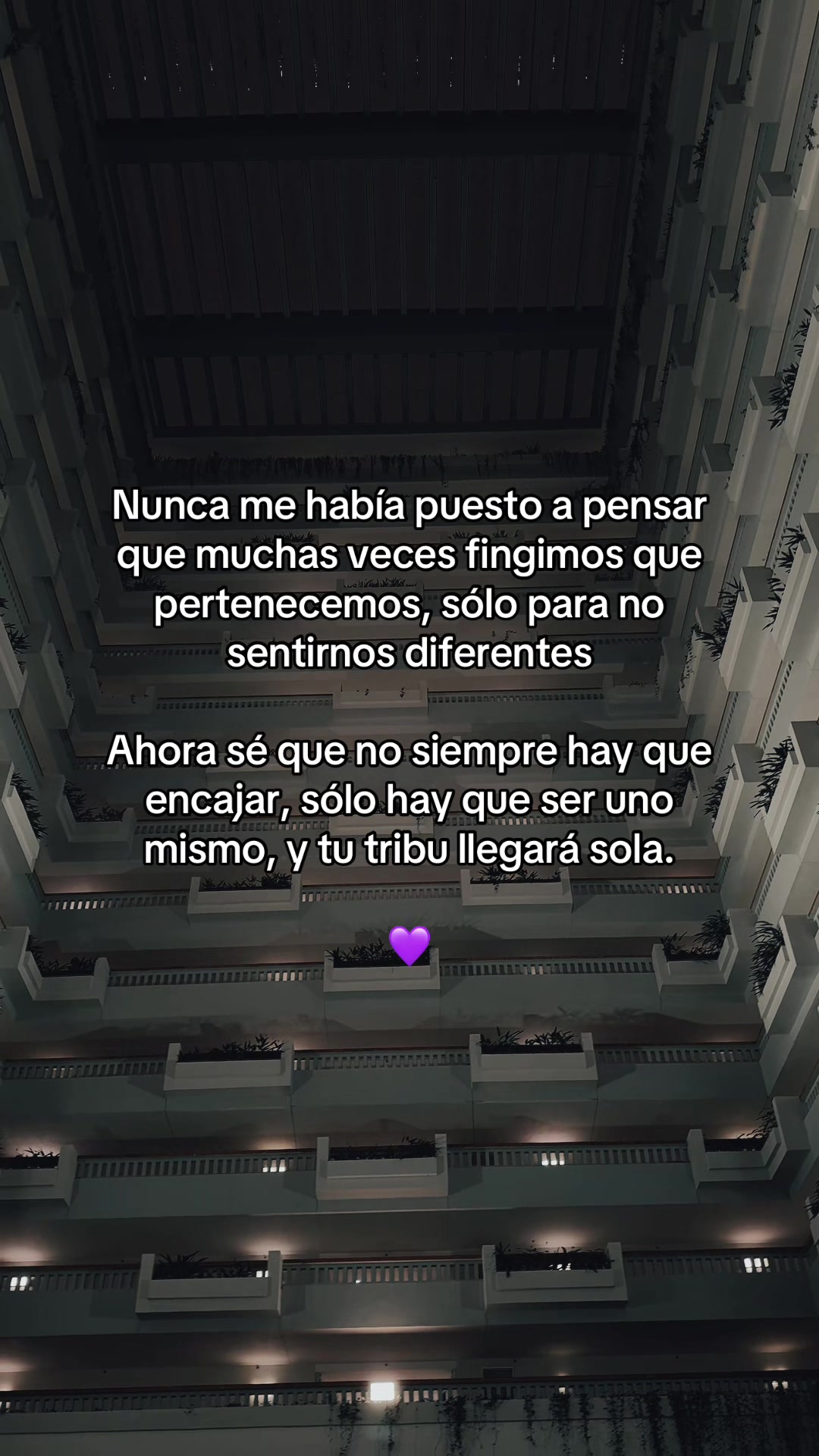 @Constanza Aboytes 보람