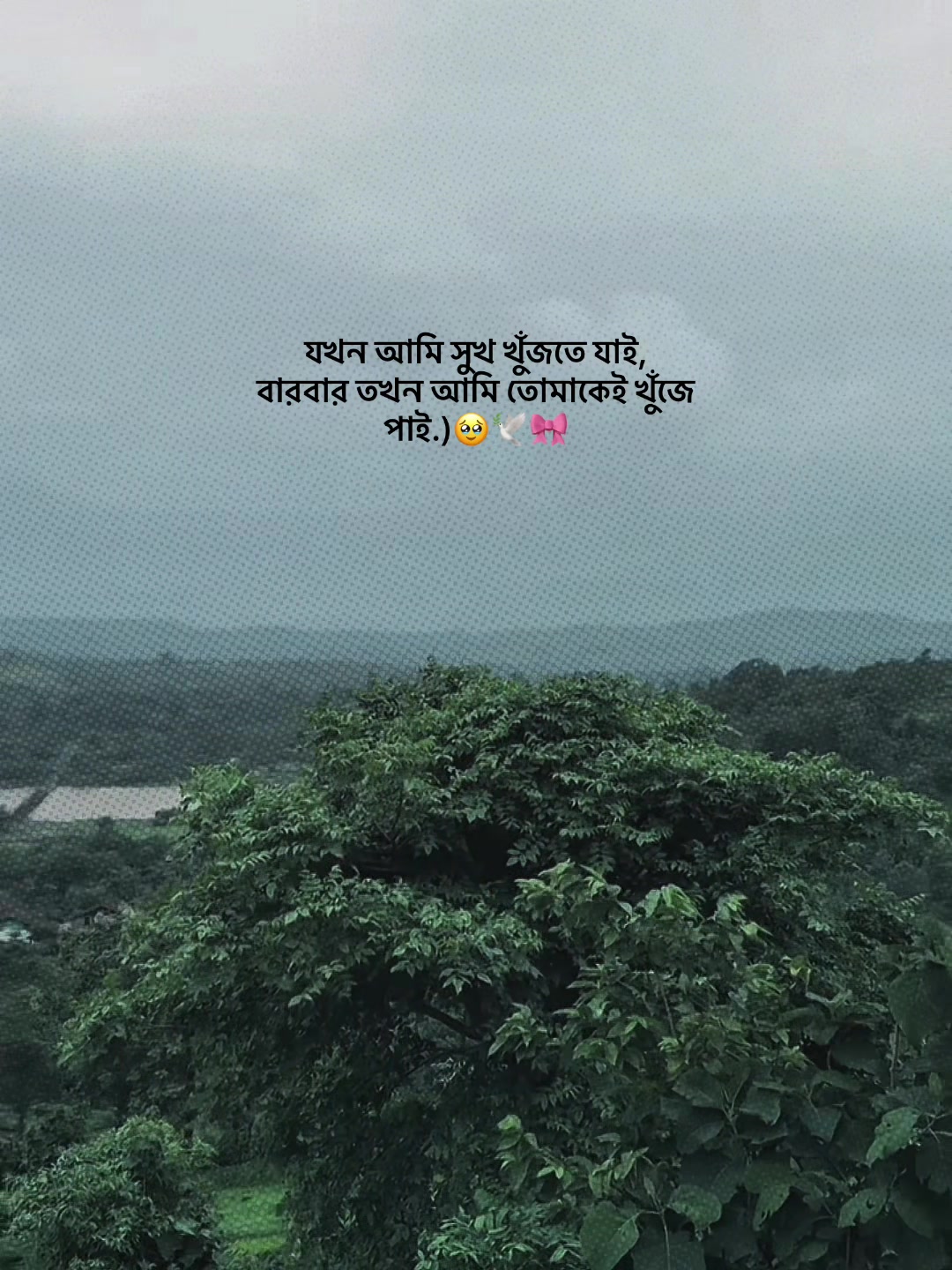 @❏ 𝗔𝗙𝗝𝗔𝗟'🐼