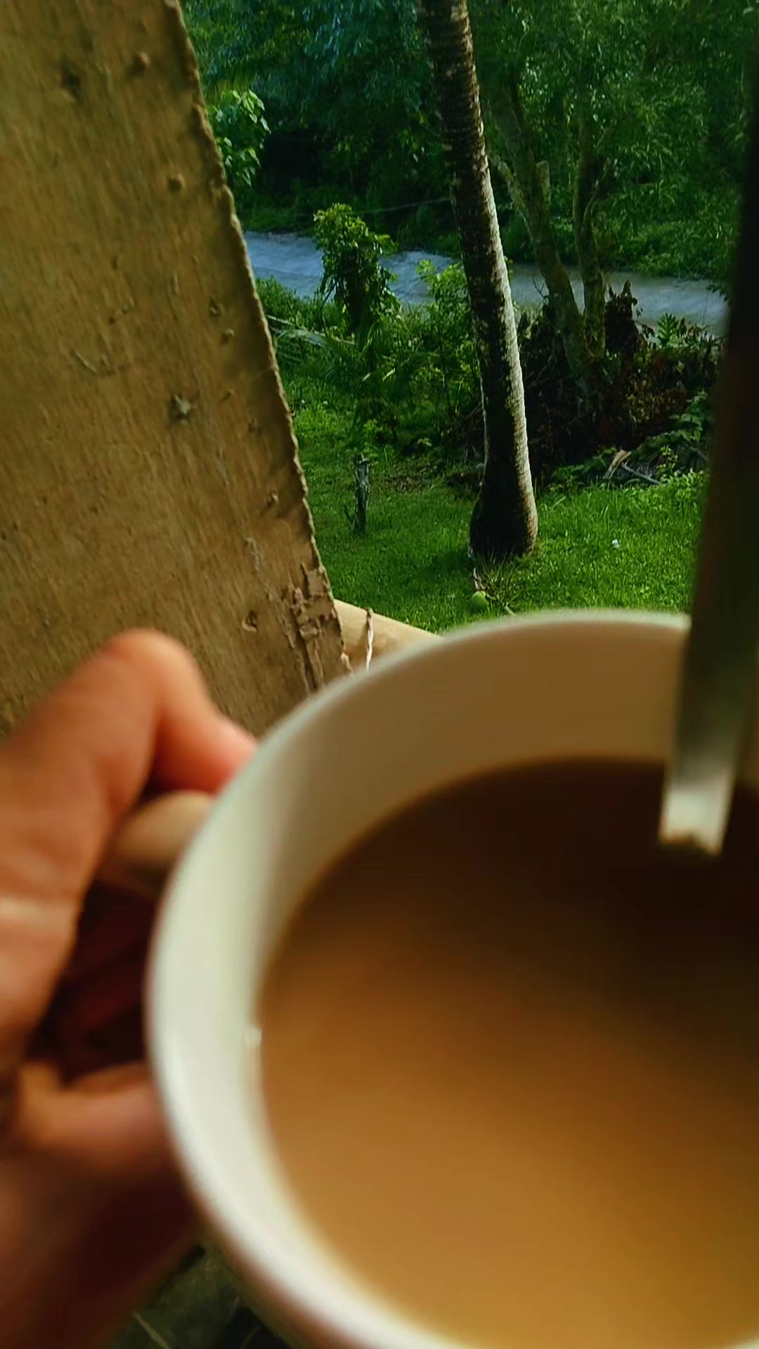 @leia