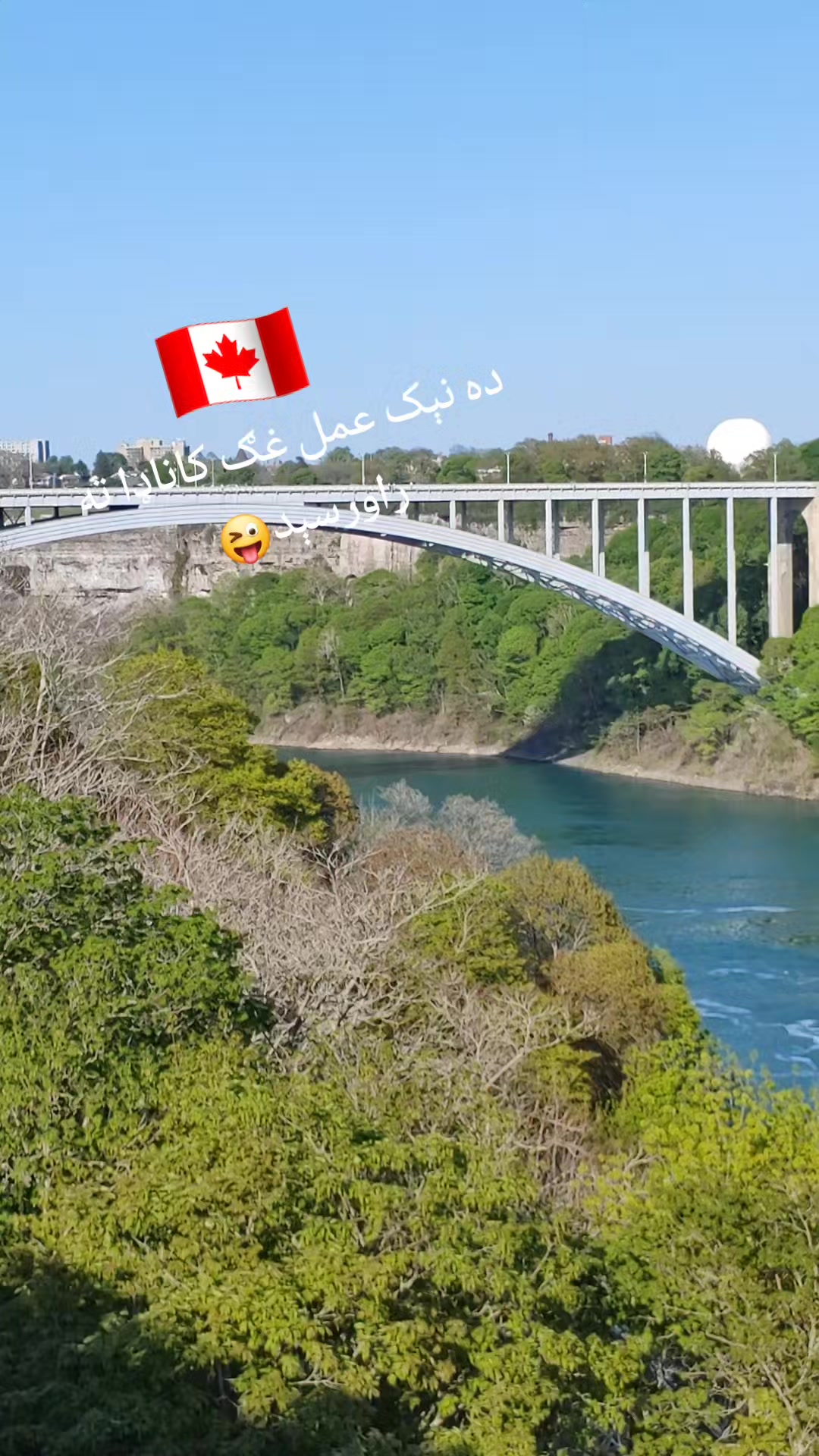 @Sher khan🇨🇦🥀