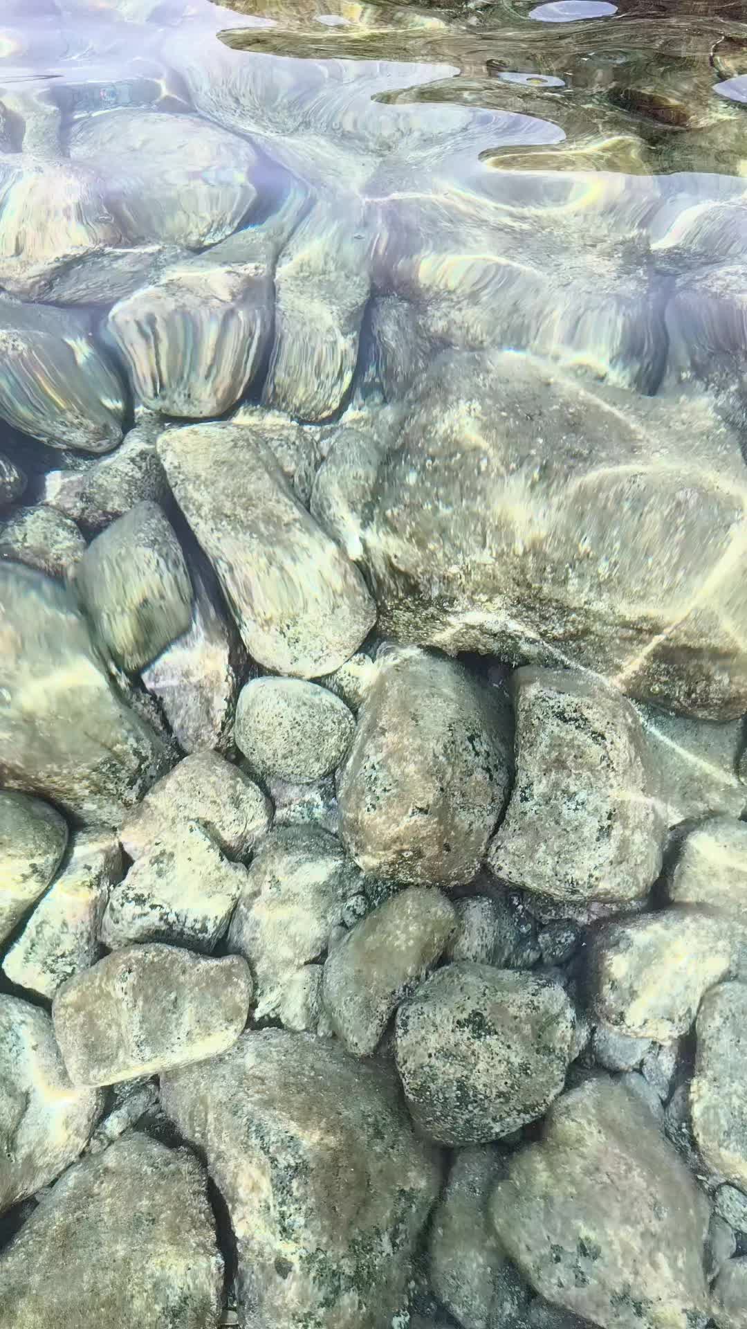 @Annamaria83🇷🇴🇮🇹🦂