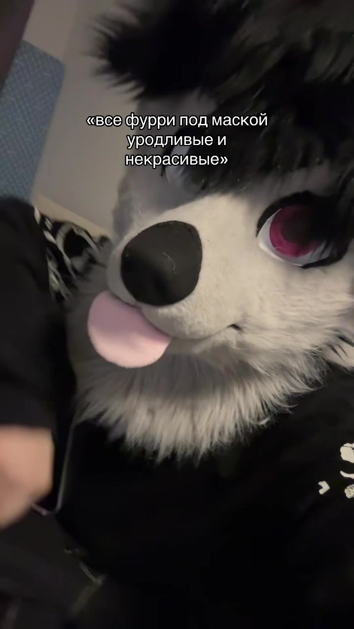 @фыркалко 🐾