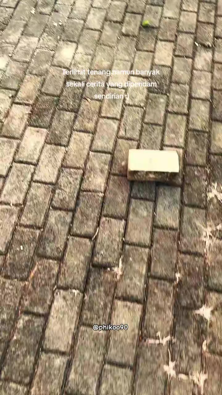 @Phikoo_🔥