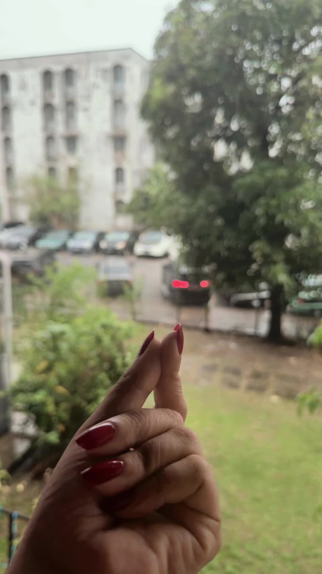 @Aniya chowdhury ani ( Moni)