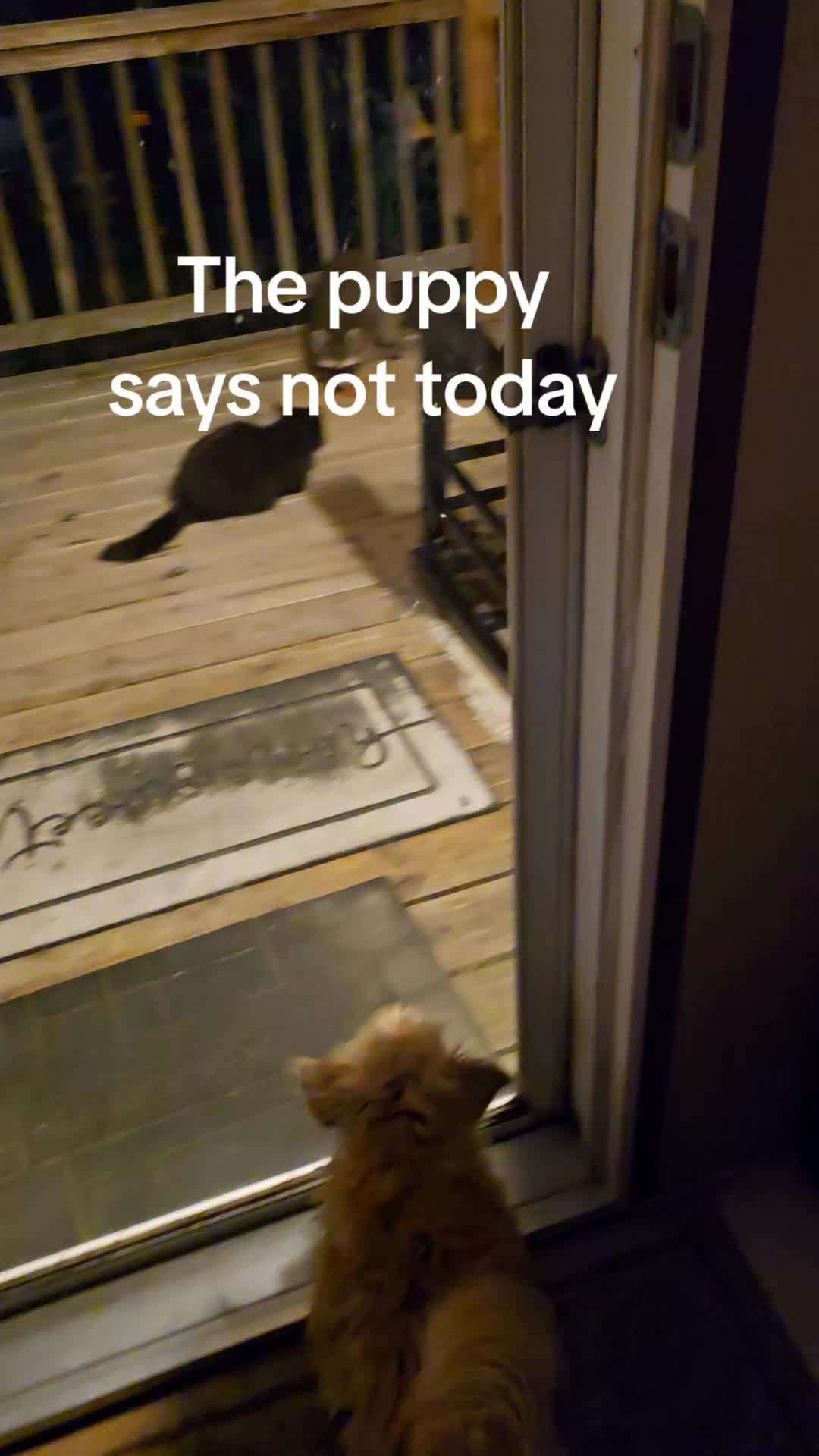 @Doug24❌️