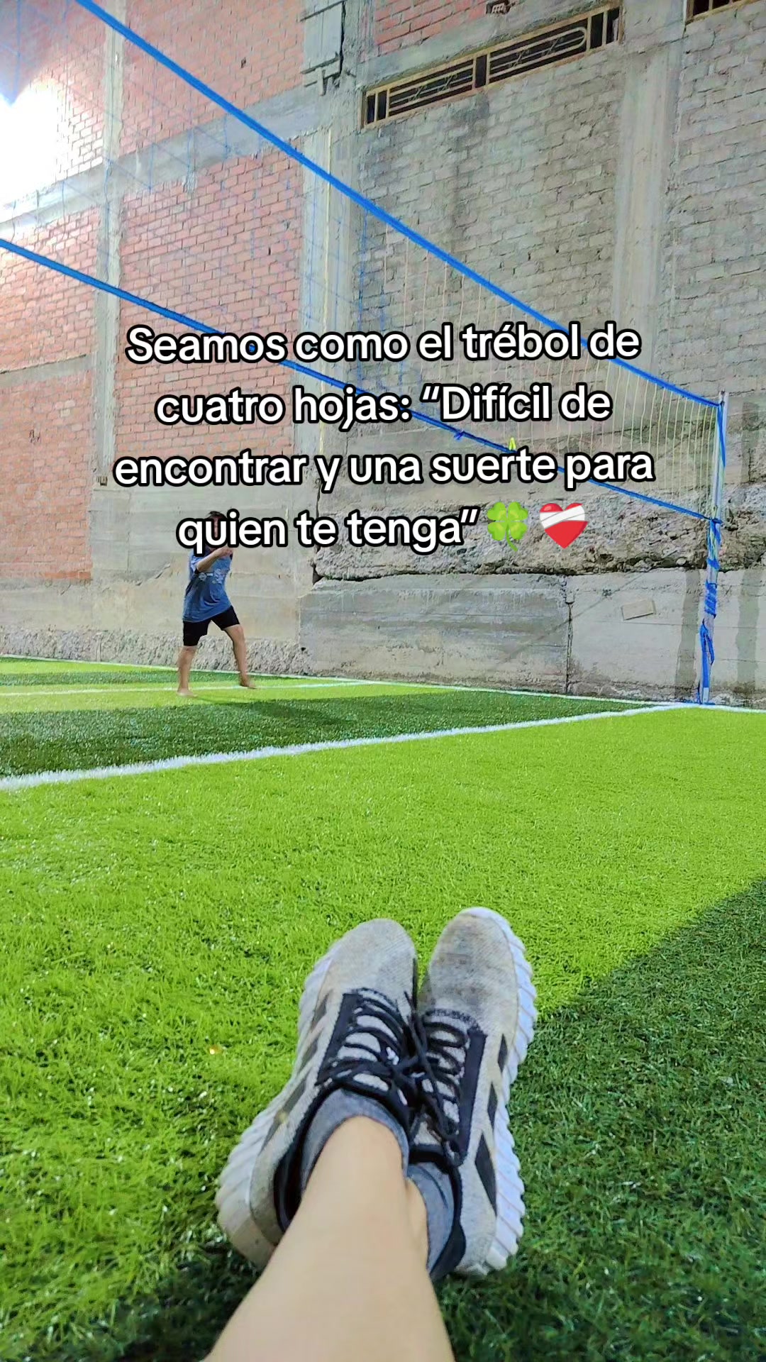 @sindryta