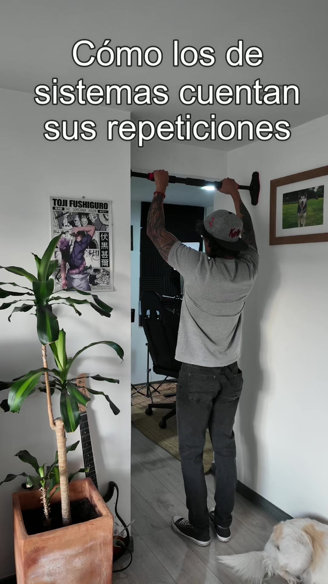 @p&iacute;ldoras de programacion