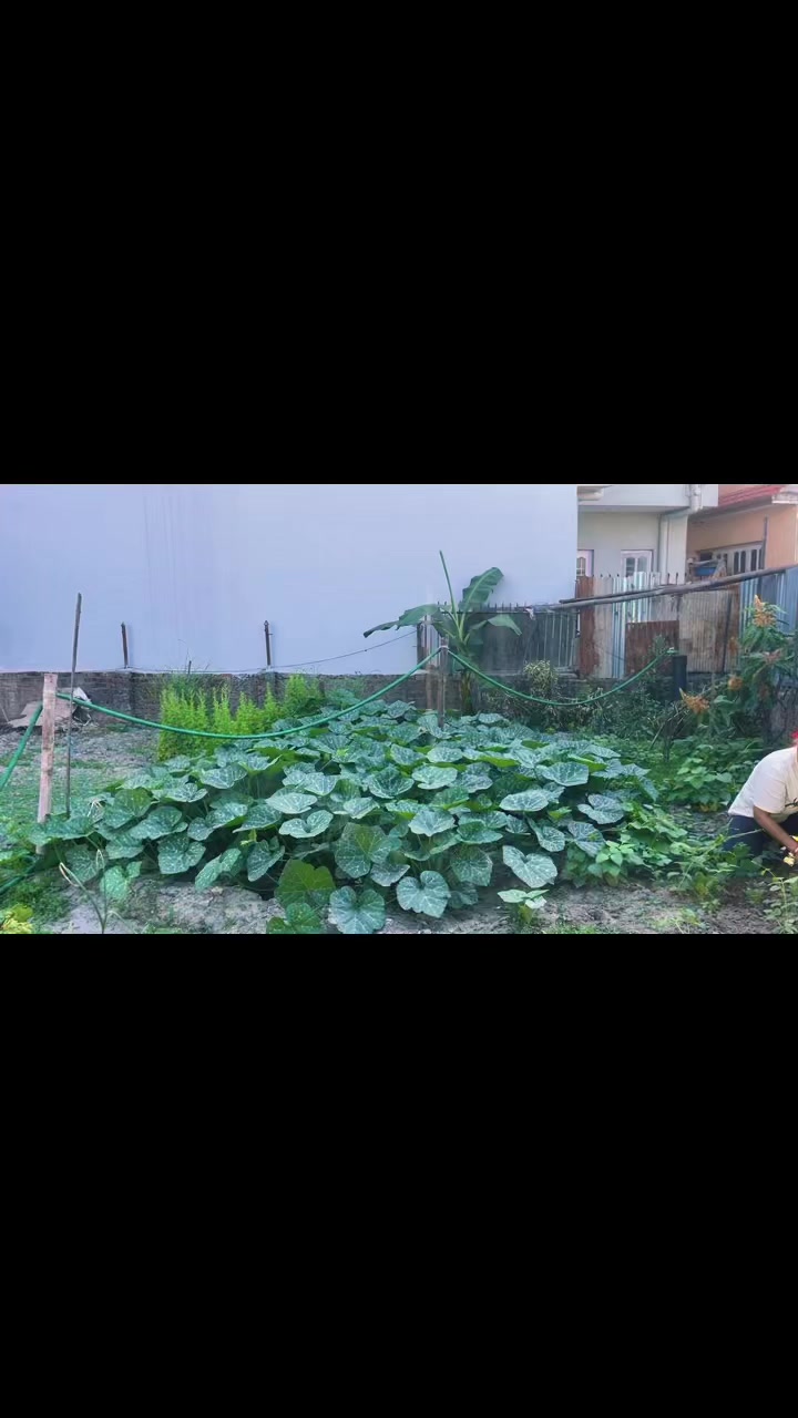 @Bimala_Mishra