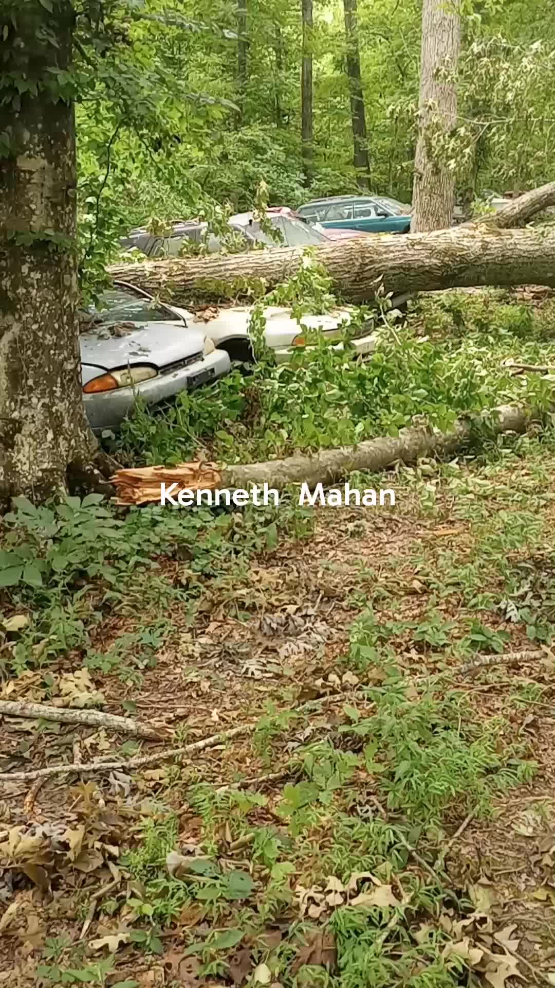 @kennethmahan822