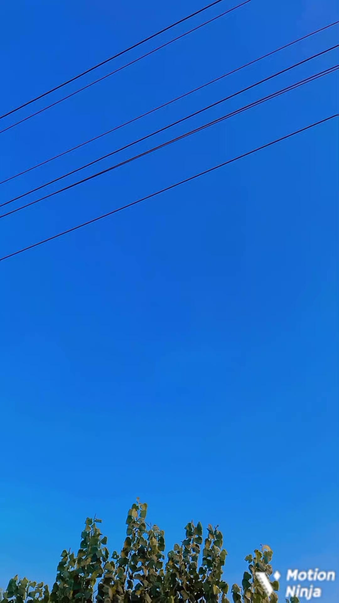 @༆ 𝑫✰𝑨✰𝑵✰𝑮✰𝑬✰𝑹 ☘︎