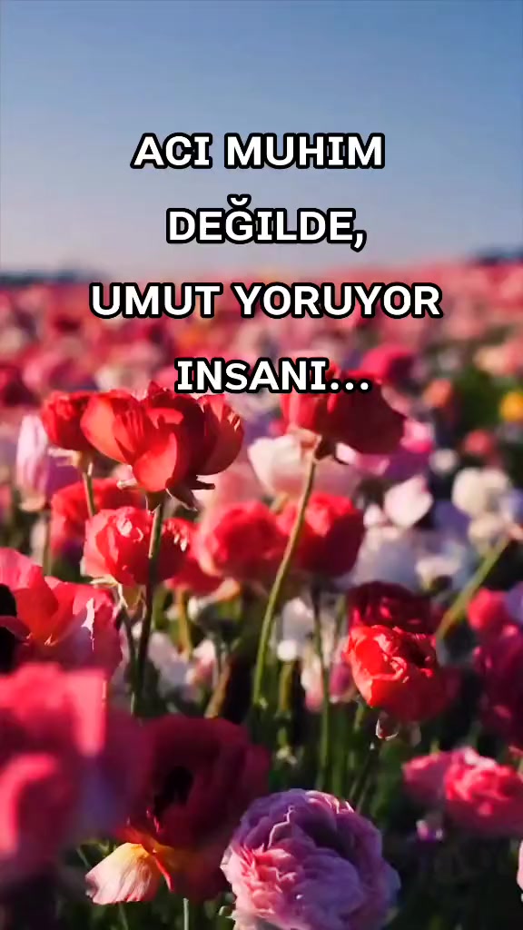 @♕︎  🇹🇷 g&sigma;&eta;ү&alpha;ℓ&iota;🤘  ♕︎