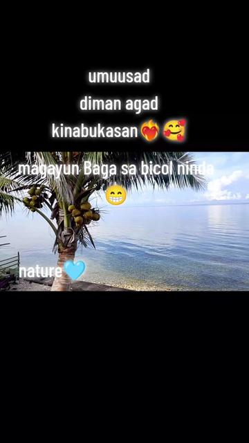 @Yam